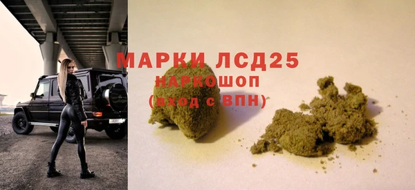 твердый Заводоуковск