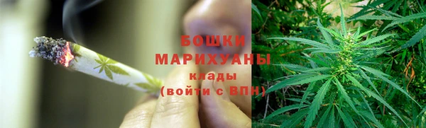 твердый Заводоуковск