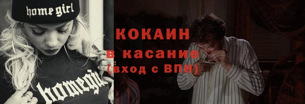 твердый Заводоуковск