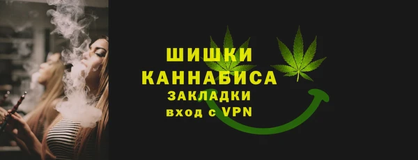 твердый Заводоуковск