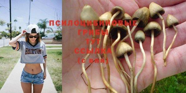 твердый Заводоуковск